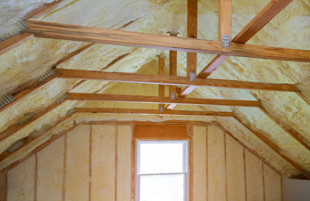 Best Eco-Friendly Insulation in Pinckney, MI