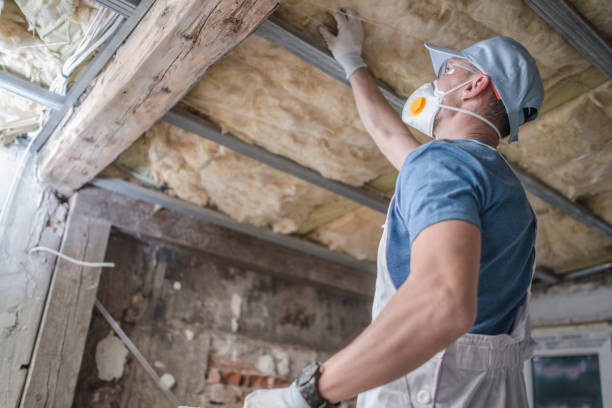 Best Cellulose Insulation in Pinckney, MI