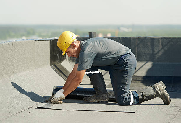 Best Geographic-Specific Insulation Services in Pinckney, MI