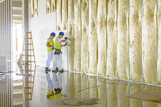 Best DIY Insulation Kits and Guidance in Pinckney, MI